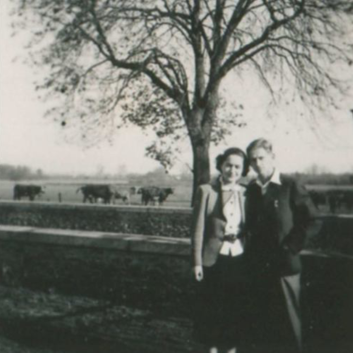 Alfred et Françoise Brauner : le château de La Guette (77, Villeneuve-Saint-Denis, 1939-1940)