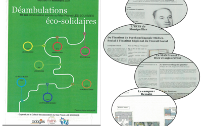 Vous avez dit: « Déambulations éco-solidaires?